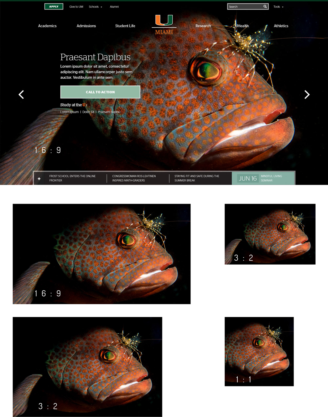 University of Miami Image Ratio Samples