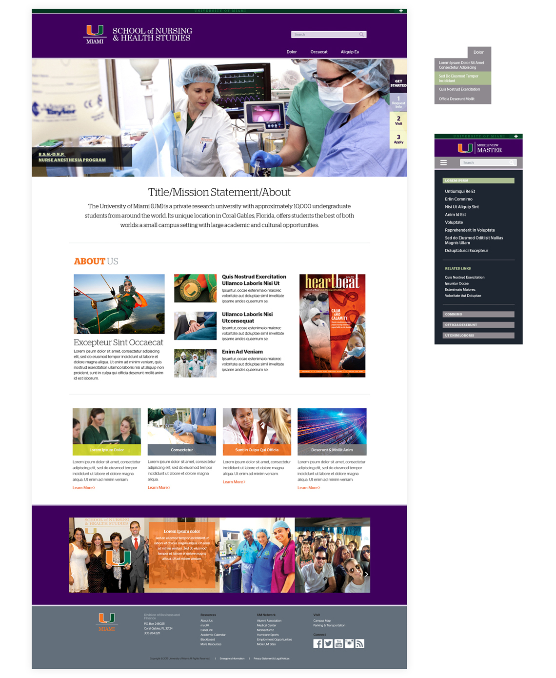 University of Miami School of Nursing Color Scheme