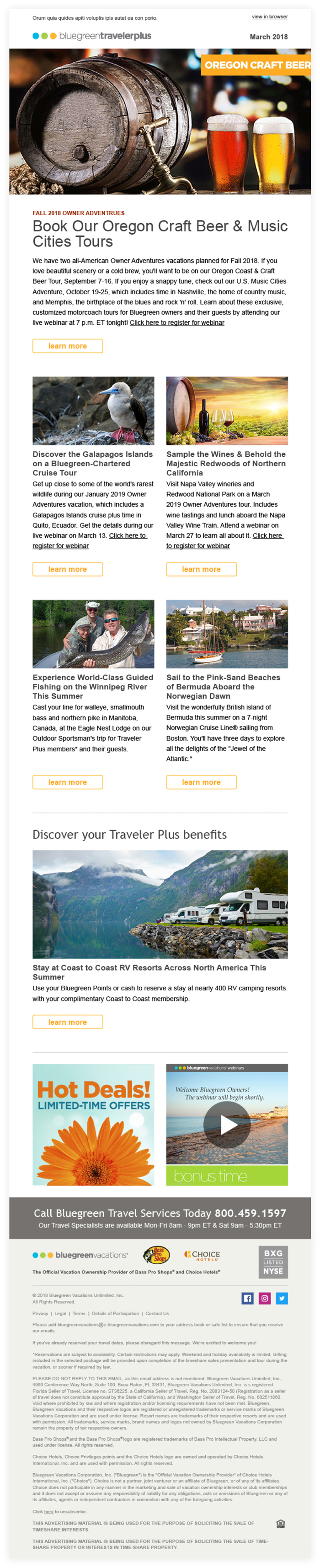 BV Global Email Newsletter